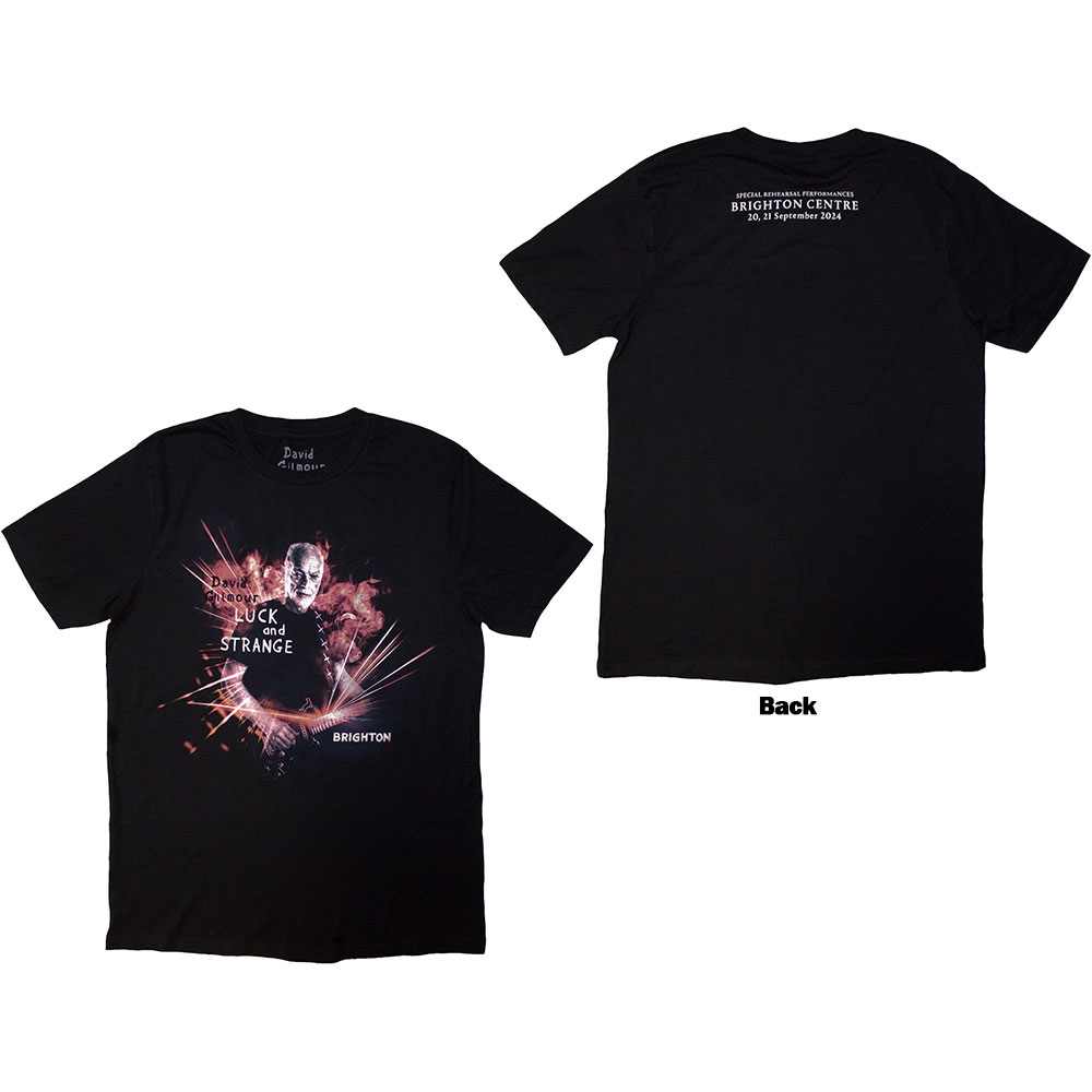 David Gilmour - Luck & Strange Brighton Heren Tshirt - Zwart